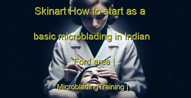 Skinart How to start as a basic microblading in Indian Ford area | MicrobladingTraining | MicrobladingClasses | SkinartTraining-United States